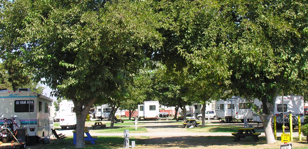 Visalia & Sequoia National Park KOA