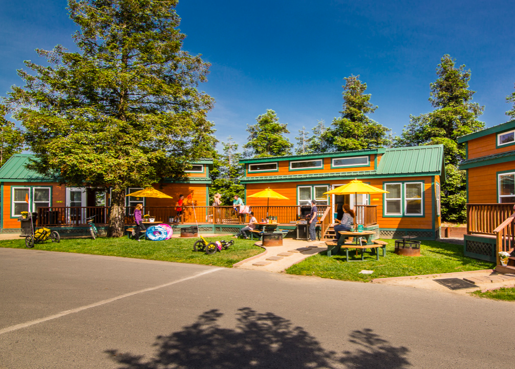 San Francisco North I Petaluma KOA