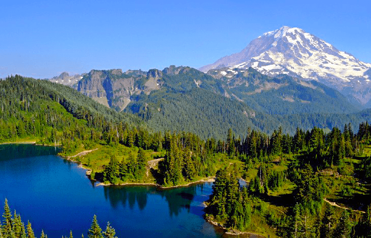 Mt Rainier National Park Camprounds