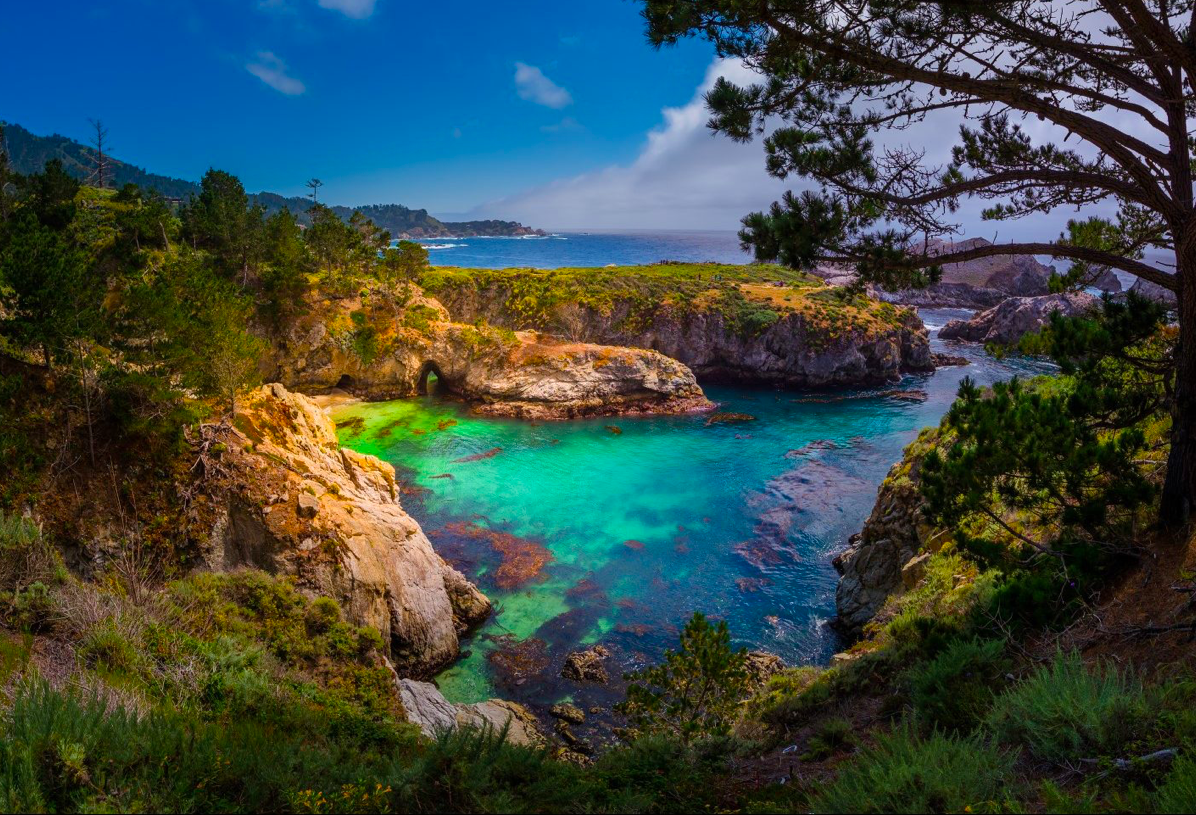 Point Lobos